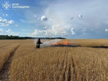 Росія нищить урожай українських фермерів, завдаючи ударів FPV-дронами по полях