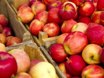 За першу половину 2024 року експорт яблук та груш з України зріс на чверть