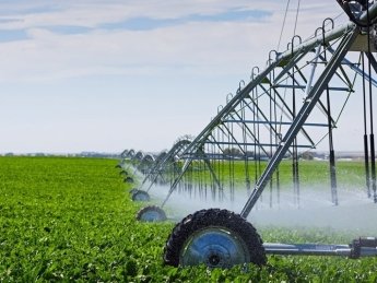 Орошение полей. Фото: ua.news