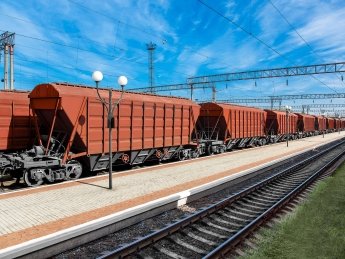 Всего в 2021 году "Укрзализныця" перевезла 33,666 млн тонн зерновых грузов