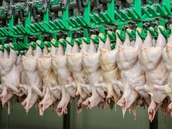 Украина экспортировала рекордные объемы курятины в прошлом году