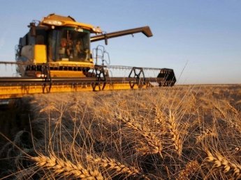 Земельные отношения в Украине "привяжут" к военному положению