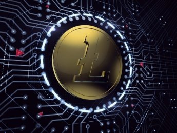 Фото: Coiner Life