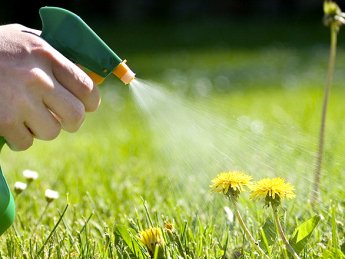 Гербіциди: Ваш Впевнений Крок до Здорового Поля