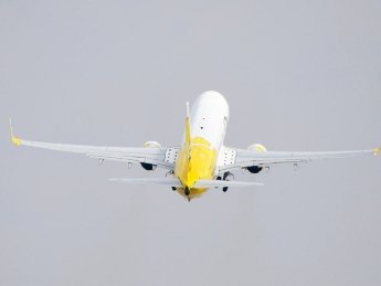 Bees Airline