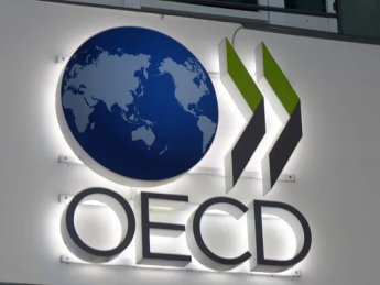 ОЭСР выделяет Украине 285 тысяч евро: на что пойдут деньги