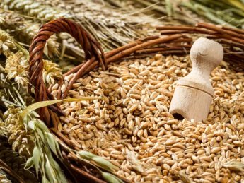 Украина планирует экспортировать все остатки зерна до конца мая, что повлечет за собой рост цен - УЗА