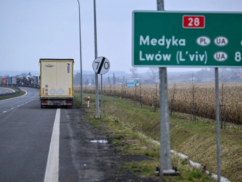 Медика шегині