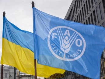 Кабмін домовився з Продовольчою організацією ООН про створення її офісу в Україні