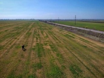 Засуха в Одесской области. Фото: bessarabiainform.com