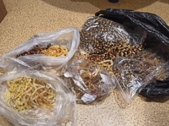 Фото: пресс-центр СБУ