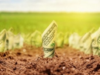 Последняя миля: как рынок земли поможет капитализировать угодья