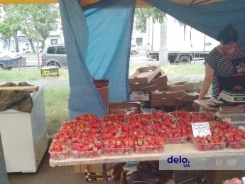 Експерт розповів, коли чекати на найдешевшу полуницю