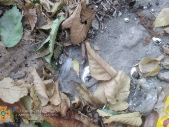 Фото: ГУ ГСЧС в Днепропетровской области