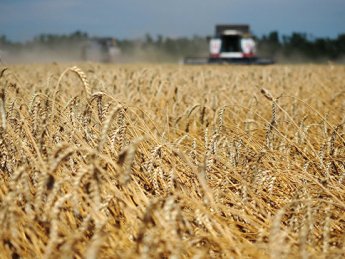 На Донбассе объявили "хлебное" перемирие