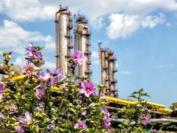 Фото: пресс-служба ОПЗ