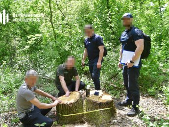 В нацпарку "Куяльницький" навесні вирубили дерев на 80 мільйонів: підозру отримав директор лісгоспу (ФОТО)