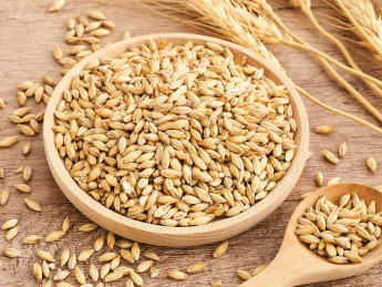 Українська пшениця зросла в ціні через підвищення попиту на світовому ринку