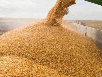 Украинским морским коридором перевезли более 208 млн. тонн грузов