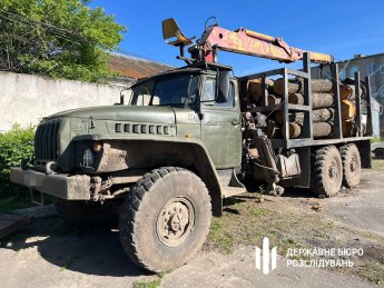 ДБР виявило незаконні рубки дерев у трьох областях на майже 15 мільйонів гривень