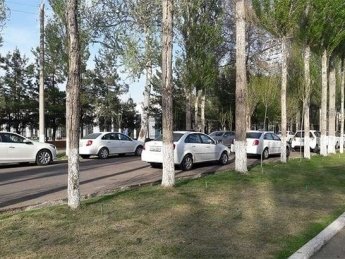 В Туркменистане могут запретить машины всех цветов, кроме белого