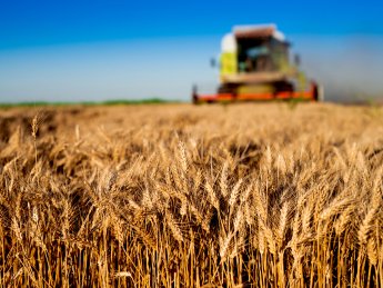 Украина анонсировала расширение географии программы Grain From Ukraine