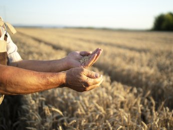 аграрии, АПК