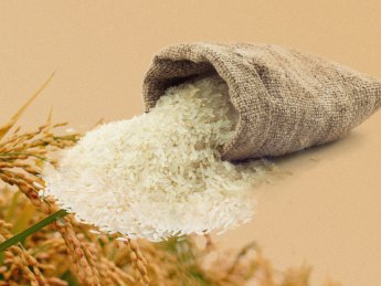 Рис не гречка: як виживає цей ринок на другому році війни - статистика, ціни, прогноз