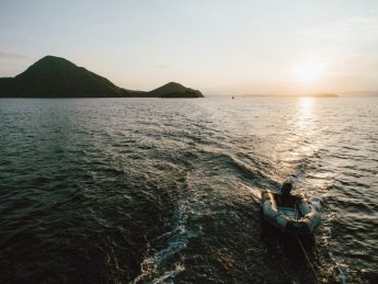 Фото: Unsplash