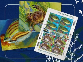 "Укрпочта" выпустит марки, посвященные подводному миру Черного моря