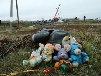 Место трагедии рейса МН17. Фото: politeka.net