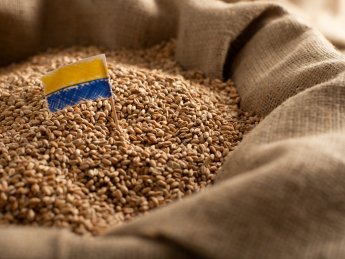 Молдова тимчасово скасувала фітосанітарний контроль для українського зерна, що прямує транзитом