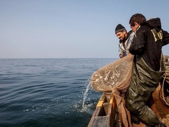 Вылов рыбы в Азовском море