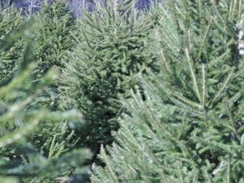 Фото: Deseret News