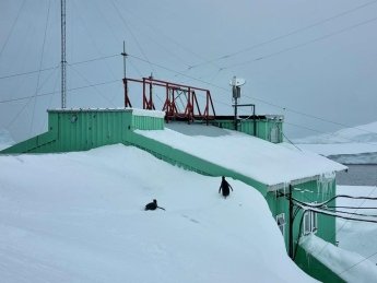 Пингвины ходят по крыше: на станции "Академик Вернадский" зафиксировали новый снежный рекорд (ФОТО)
