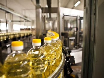 Крупнейший в Молдове производитель масла приостановил работу из-за дефицита подсолнечника из Украины