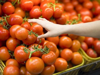 В Украине ощутимо снизились цены на тепличные помидоры