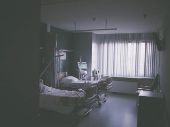 Фото: Unsplash