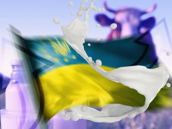 Українське молоко в ЄС: який шлях потрібно пройти для євроінтеграції