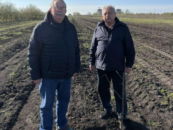 в Киевской области заложили миндальный сад