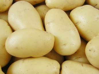 Эксперт рассказал, почему украинский картофель "проигрывает" на внешних рынках