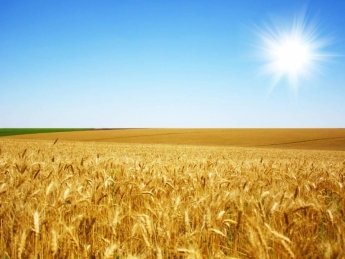 Фото: AgroPolit.com