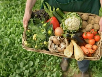 В Украине вступили в силу новые требования к производству органической продукции