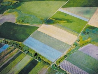 Фото: Agroberichten buitenland