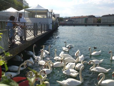 Фото 27 — Що, крім Парижа: бюджетна подорож французькою провінцією