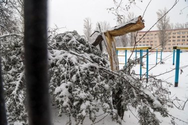 Фото 29 — На юге Украины из-за снега закрыли дороги, фуры не пускают даже в Киев (ФОТО, ВИДЕО)