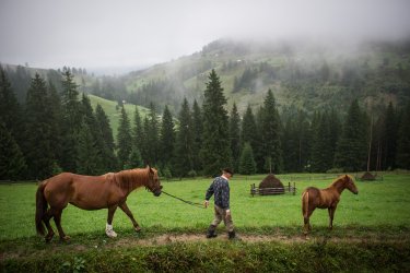 Фото 6 — Вооружен объективом: противостояние на Грушевского глазами фотографа