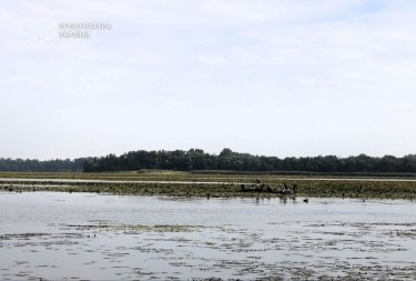 Фото 2 — В Дніпрі міськрада хотіла віддати 24 км набережної під незаконну забудову