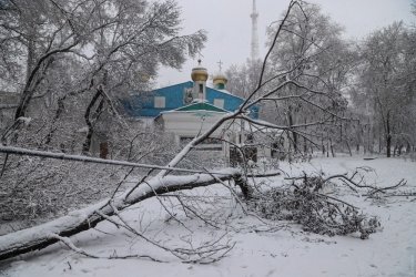 Фото 49 — На юге Украины из-за снега закрыли дороги, фуры не пускают даже в Киев (ФОТО, ВИДЕО)