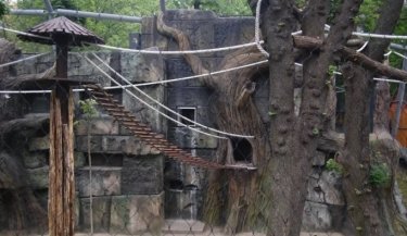 Фото 8 — В Киеве спустя три года вновь заработал зоопарк (ФОТО, ВИДЕО)